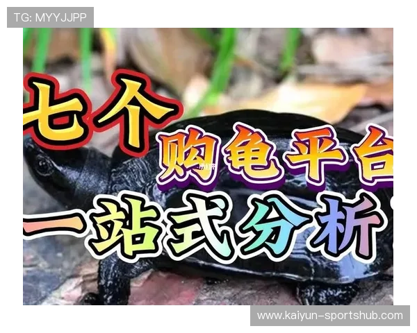 大型赛事预热期玩球大平台防骗避坑指南 大型赛事预热期玩球大平台防骗避坑指南